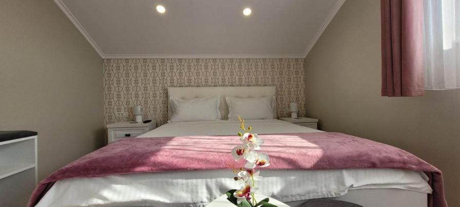 Casa Leahu Bed & Breakfast Baile 1 Mai Dış mekan fotoğraf