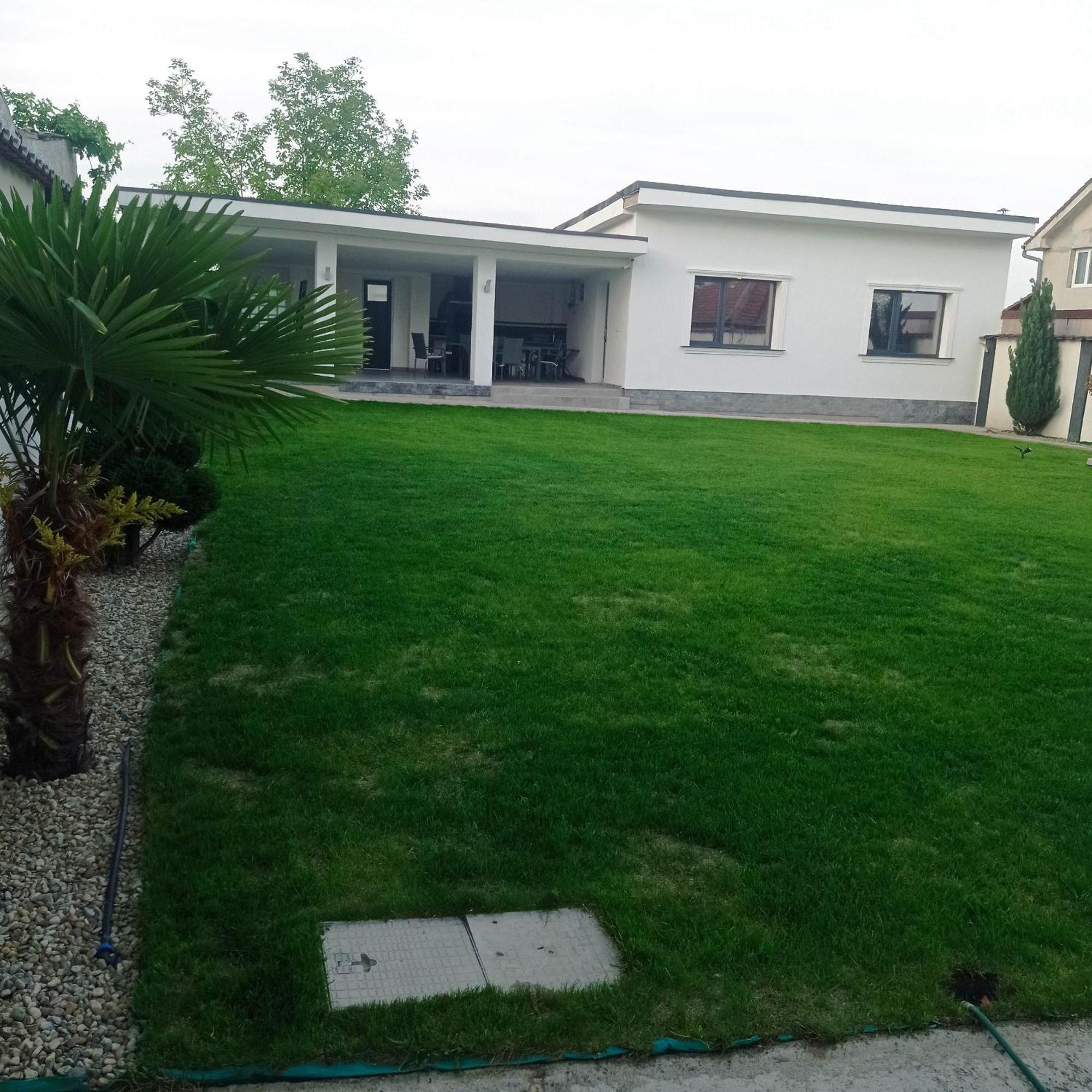 Casa Leahu Bed & Breakfast Baile 1 Mai Dış mekan fotoğraf